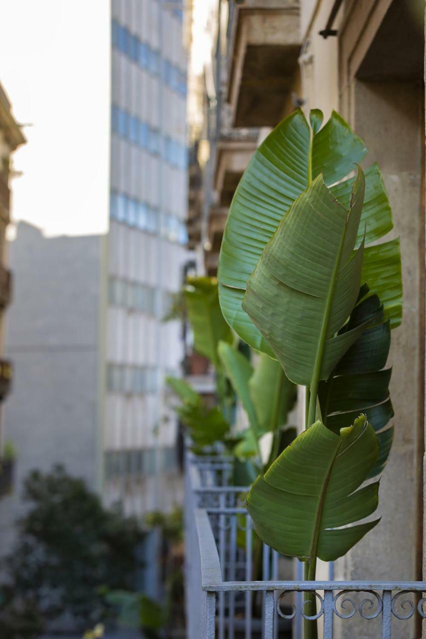 Hostal Sol Y K برشلونة المظهر الخارجي الصورة